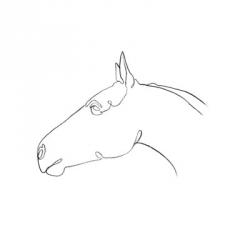 Equine Pencil Contour I | Obraz na stenu