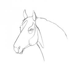 Equine Pencil Contour III | Obraz na stenu