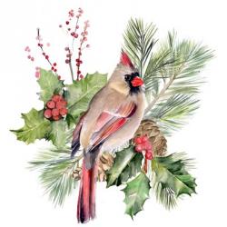 Cardinal Holly Christmas II | Obraz na stenu
