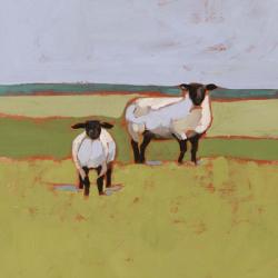 Suffolk Sheep II | Obraz na stenu