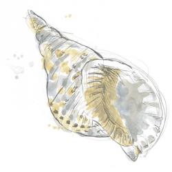 Citron Shell Sketch II | Obraz na stenu