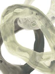 Concentric Lichen II | Obraz na stenu