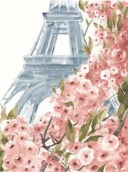 Paris Cherry Blossoms II | Obraz na stenu