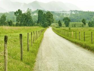 Country Road Photo I | Obraz na stenu