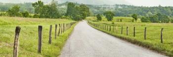 Country Road Panorama I | Obraz na stenu