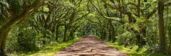 Country Road Panorama IV | Obraz na stenu