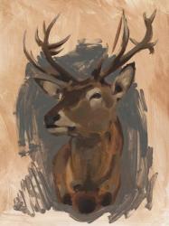 Red Deer Stag II | Obraz na stenu