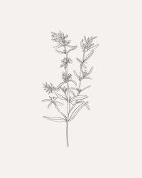 Wild Foliage Sketch I | Obraz na stenu