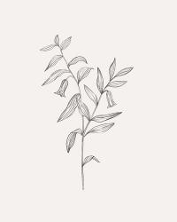 Wild Foliage Sketch IV | Obraz na stenu