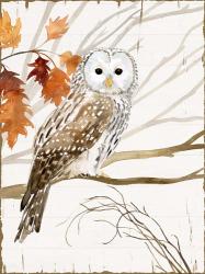 Harvest Owl I | Obraz na stenu