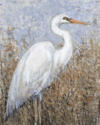 White Heron I | Obraz na stenu