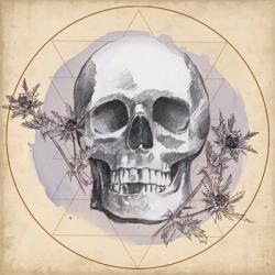 Skull Thistle I | Obraz na stenu