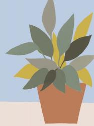 Ordinary Houseplant IV | Obraz na stenu