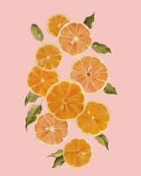 Spring Citrus I | Obraz na stenu