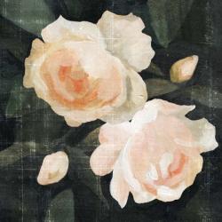 Soft Garden Roses I | Obraz na stenu