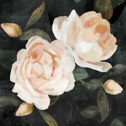 Soft Garden Roses II | Obraz na stenu