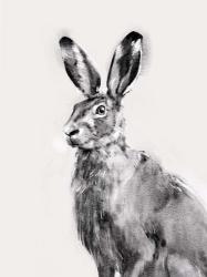 Wild Hare I | Obraz na stenu