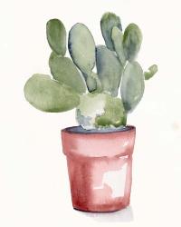 Potted Succulent I | Obraz na stenu