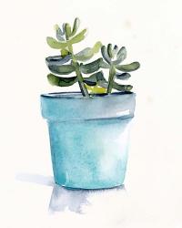 Potted Succulent II | Obraz na stenu