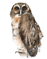 Watercolor Owl I | Obraz na stenu