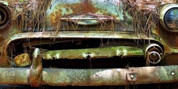 Car Graveyard V | Obraz na stenu