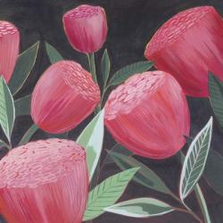 Blush Blossoms II | Obraz na stenu