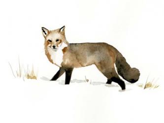 Winter Fox II | Obraz na stenu