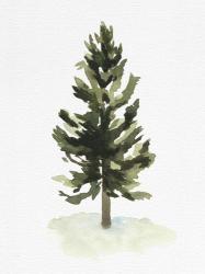 Watercolor Pine I | Obraz na stenu