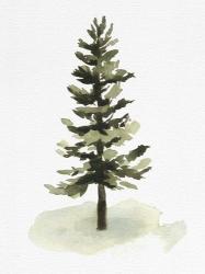 Watercolor Pine II | Obraz na stenu