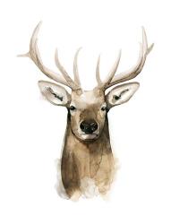 Watercolor Elk Portrait I | Obraz na stenu