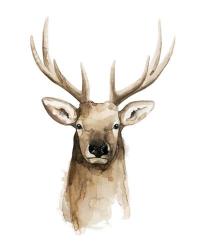 Watercolor Elk Portrait II | Obraz na stenu
