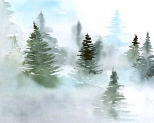 Foggy Evergreens II | Obraz na stenu