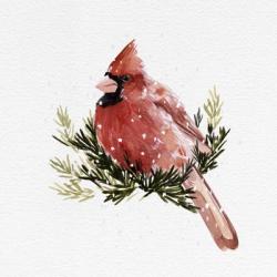 Cardinal with Snow II | Obraz na stenu