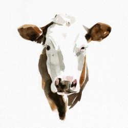 Watercolor Bovine III | Obraz na stenu