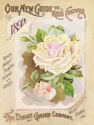 Antique Seed Packets IX | Obraz na stenu