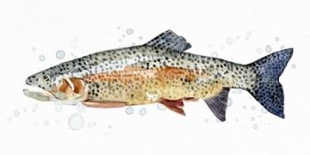 Watercolor Rainbow Trout II | Obraz na stenu