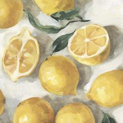 Fresh Lemons II | Obraz na stenu