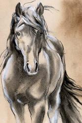 Sketched Horse II | Obraz na stenu