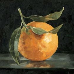 Dark Orange Still Life I | Obraz na stenu