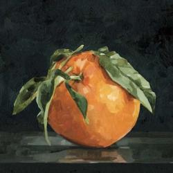 Dark Orange Still Life II | Obraz na stenu