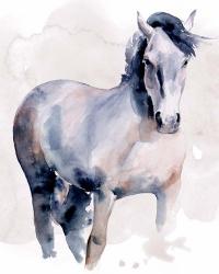 Horse in Watercolor I | Obraz na stenu