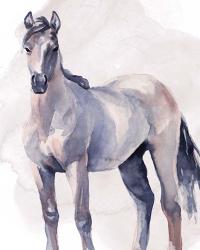 Horse in Watercolor II | Obraz na stenu