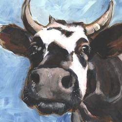 Cattle Close-up II | Obraz na stenu