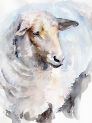 Watercolor Sheep I | Obraz na stenu