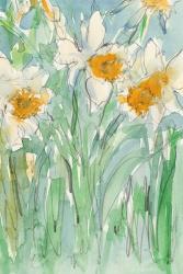 Daffodils Stems II | Obraz na stenu