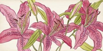 Pink Lilies II | Obraz na stenu