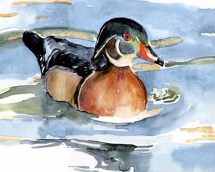 Watercolor Woodduck II | Obraz na stenu