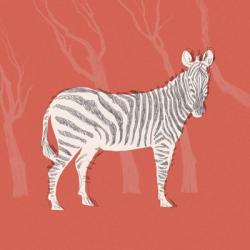 Plains Zebra I | Obraz na stenu