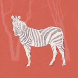 Plains Zebra II | Obraz na stenu