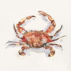 Crusty Crab I | Obraz na stenu